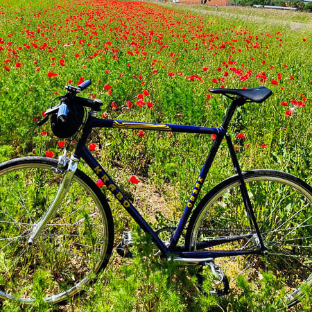 Un sogno di libertà – pedalando tra i papaveri in fiore. Una bicicletta da corsa nera davanti a un campo di papaveri rossi in fiore sotto un cielo azzurro e limpido. Sullo sfondo ci sono alcune case e alberi.
