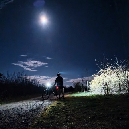 Avventura al chiaro di luna – quando la sfida chiama, la notte non ti ferma! Un ciclista sta su un sentiero nella foresta di notte, illuminato dalla luce della luna piena e dal faro della bicicletta. La scena mostra l’ombra del ciclista circondata dai profili scuri degli alberi.