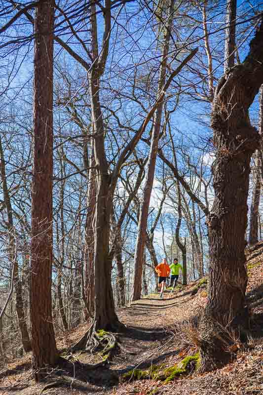 Più forti insieme – Allenamento di corsa nel bosco Due uomini fanno jogging su un sentiero forestale in una giornata di sole, uno con una giacca verde neon e l'altro con una giacca arancione. Entrambi indossano abbigliamento da corsa, comprese fasce di supporto per i polpacci.