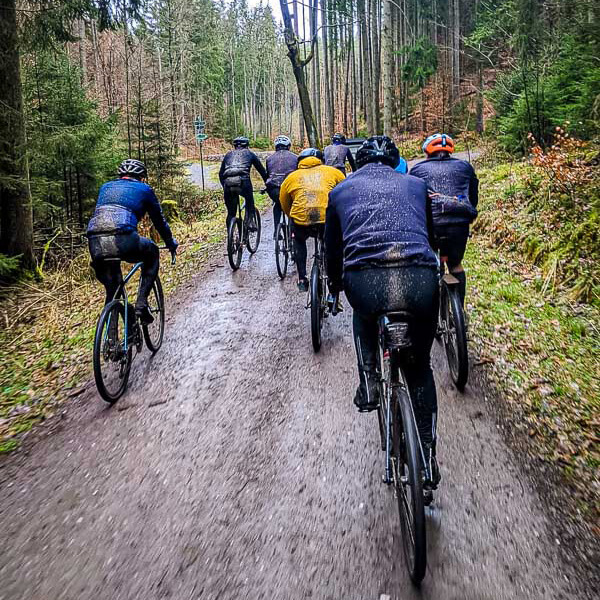 Fango, sudore e spirito di squadra – quando la sfida fitness porta fuoristrada! Un gruppo di ciclisti percorre un sentiero fangoso nel bosco, circondato da alti alberi di conifere. I ciclisti sono visti di spalle e indossano abbigliamento impermeabile e caschi.