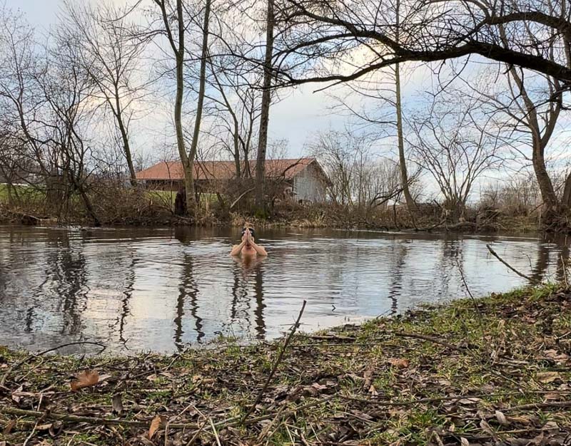 Anna Hahner che medita nel fiume Anna Hahner prega con le mani giunte nel fiume, circondata da alberi spogli.