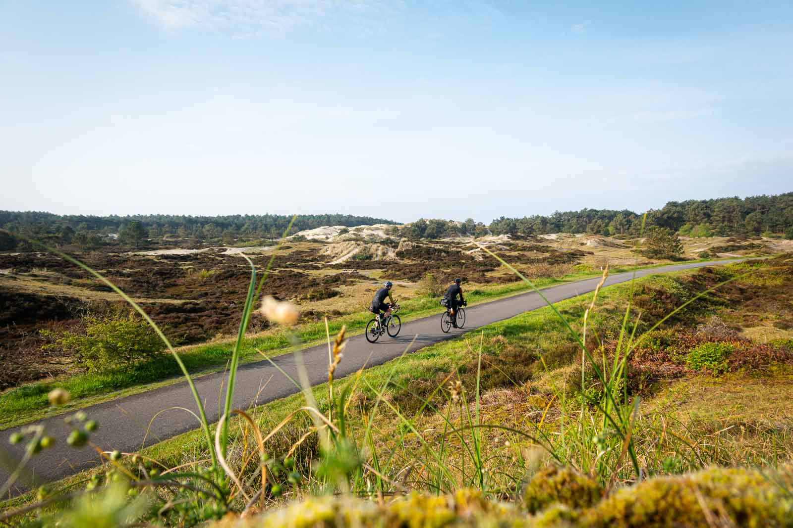 Due ciclisti che partecipano alla Race around the Netherlands percorrono una strada tra le dune.