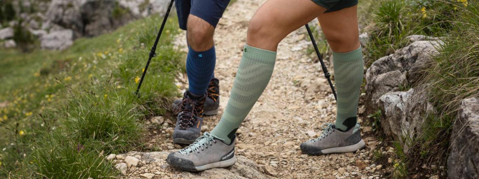 Calzini da trekking merino in colori diversi Estratto di quattro gambe con calzini da trekking merino misericordiosi su un sentiero escursionistico