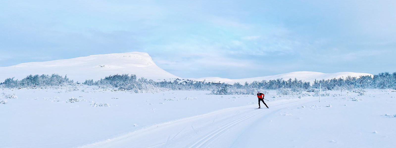 Panorama di un paesaggio invernale con uno sciatore di country a croce in una cima rossa della piccola collina e degli alberi sullo sfondo dello skatet sullo sfondo