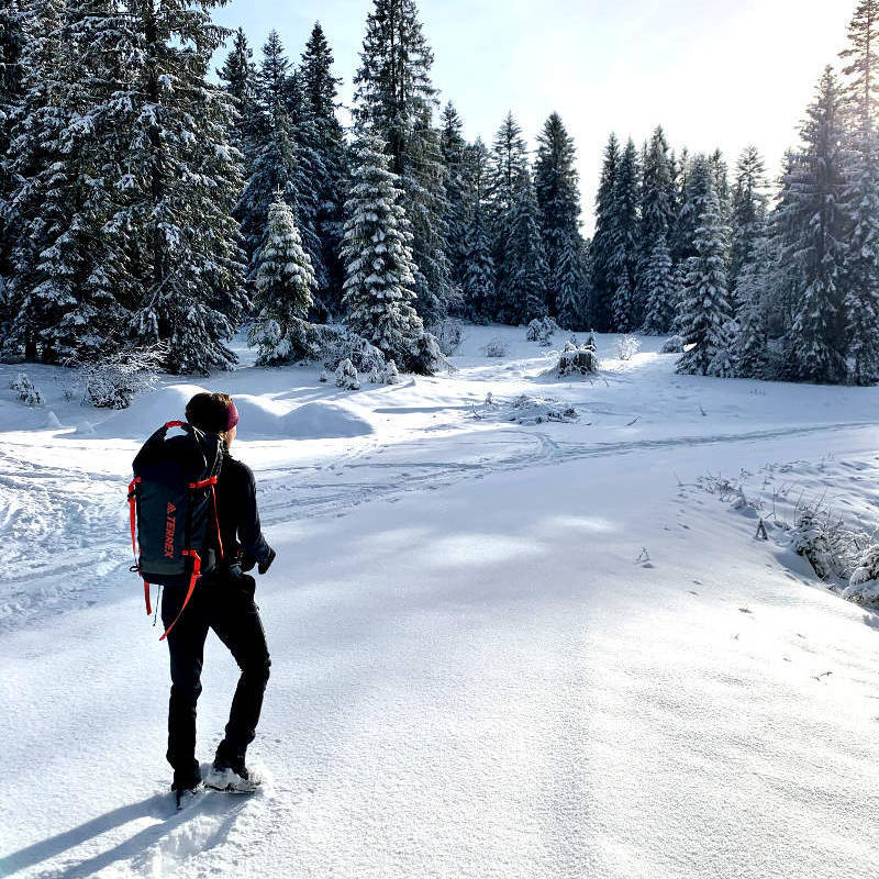 Ragazza con zaino guarda verso una foresta innevata